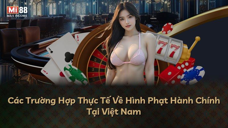 Các Trường Hợp Thực Tế Về Hình Phạt Hành Chính Tại Việt Nam
