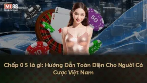 Chấp 0 5 là gì: Hướng Dẫn Toàn Diện Cho Người Cá Cược Việt Nam