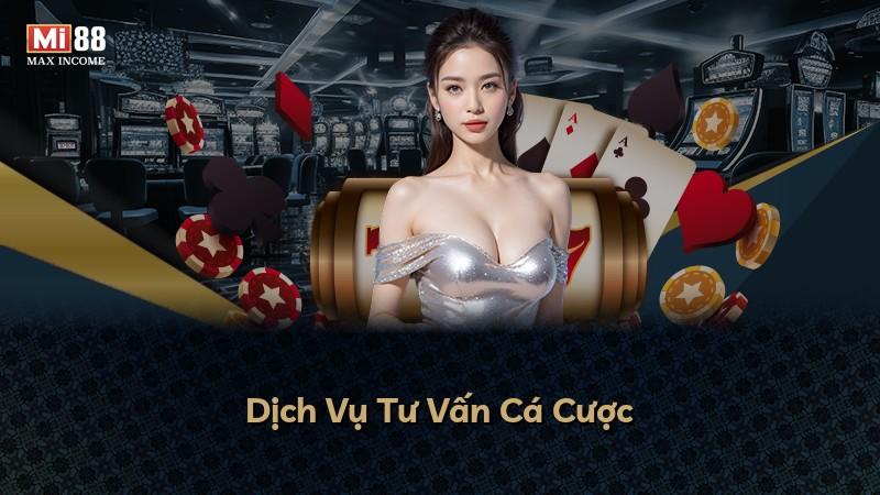 Dịch Vụ Tư Vấn Cá Cược