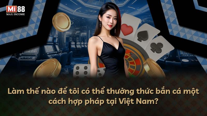 Làm thế nào để tôi có thể thưởng thức bắn cá một cách hợp pháp tại Việt Nam?