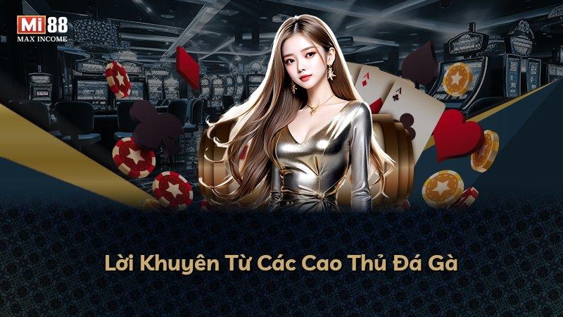 Lời Khuyên Từ Các Cao Thủ Đá Gà
